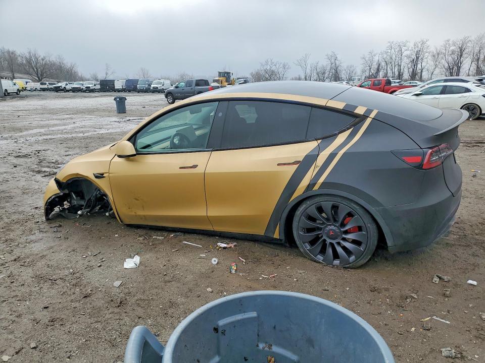 Продаж на аукціоні авто 2024 Tesla Model Y, vin: 7SAYGDEF7RA285703, номер лоту: 75697955
