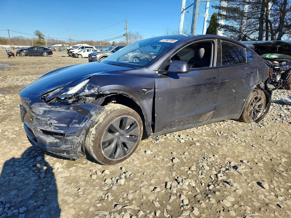 Продажа на аукционе авто 2025 Tesla Model Y, vin: 7SAYGDED2SF271215, номер лота: 41942486