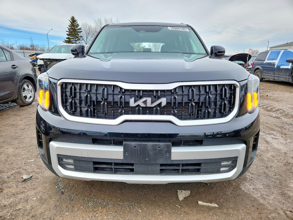 2024 Kia Telluride მანქანა იყიდება აუქციონზე, vin: 5XYP3DGC3RG516955, აუქციონის ნომერი: 78906195
