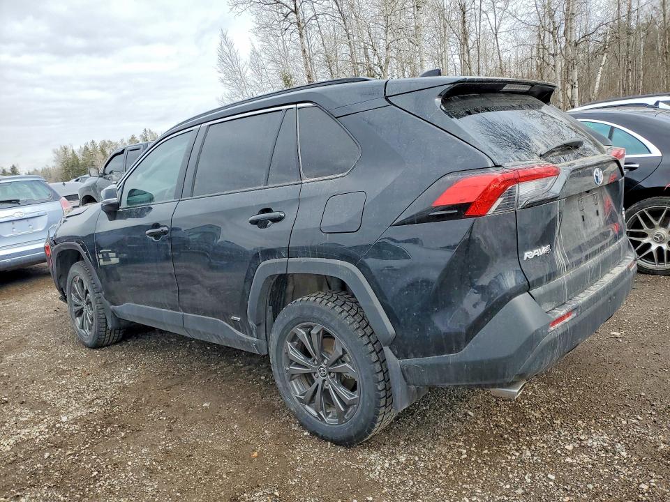 79813755 :رقم المزاد ، 2T3RWRFV1PW155045 vin ، 2023 Toyota Rav4 Hybrid مزاد بيع