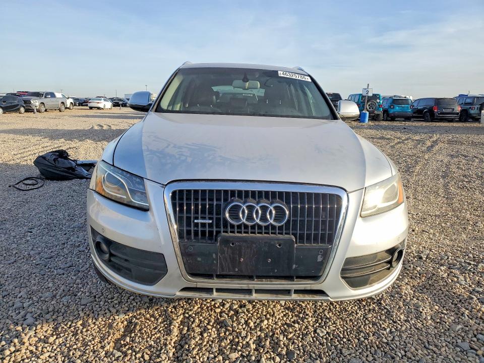 Продаж на аукціоні авто 2009 Audi Q5, vin: WA1KK78R49A051615, номер лоту: 46325786