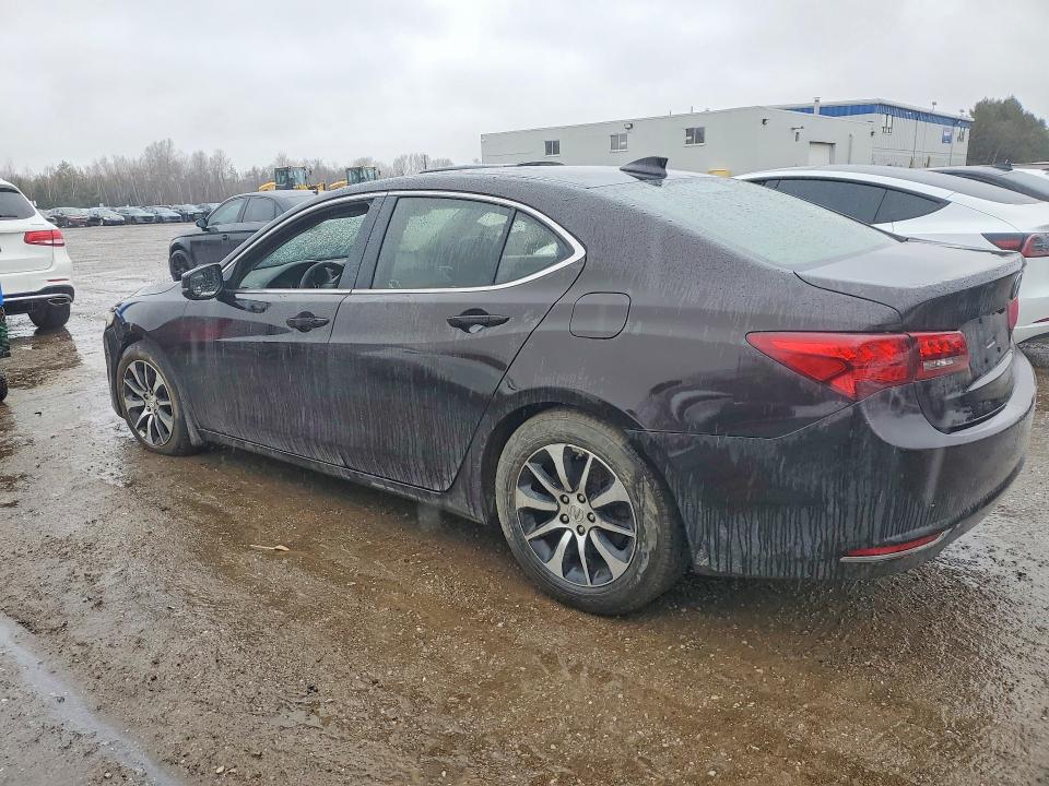 Aukcja sprzedaży 2017 Acura Tlx, vin: 19UUB1F51HA800303, numer aukcji: 41661996