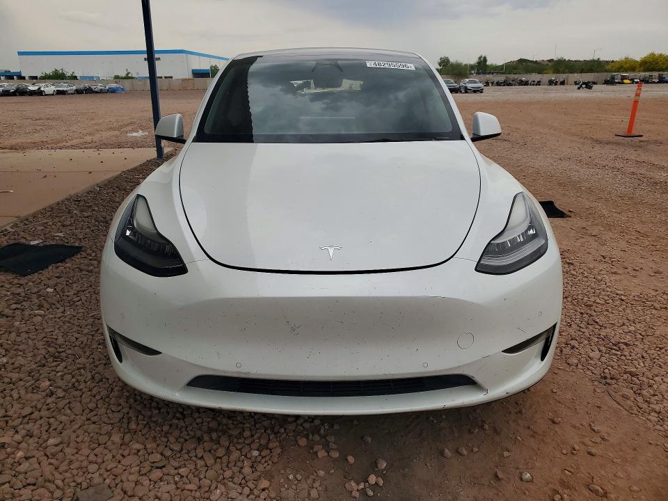 48295596 :رقم المزاد ، 5YJYGDED4MF105505 vin ، 2021 Tesla Model Y مزاد بيع