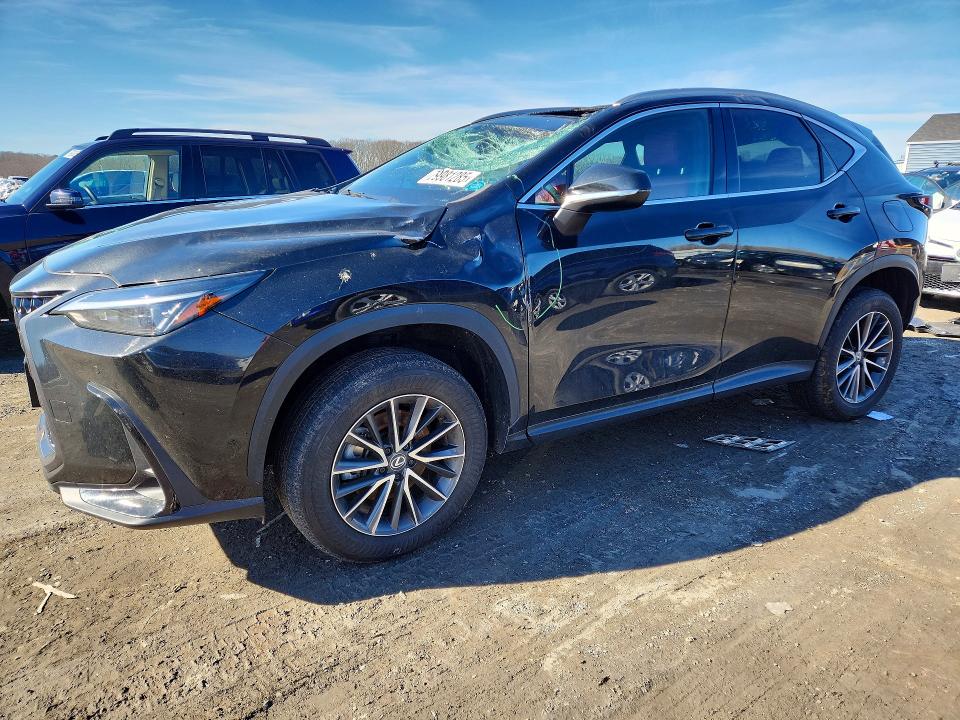 79981285 :رقم المزاد ، 2T2GGCEZ2RC049329 vin ، 2024 Lexus Nx 350 مزاد بيع