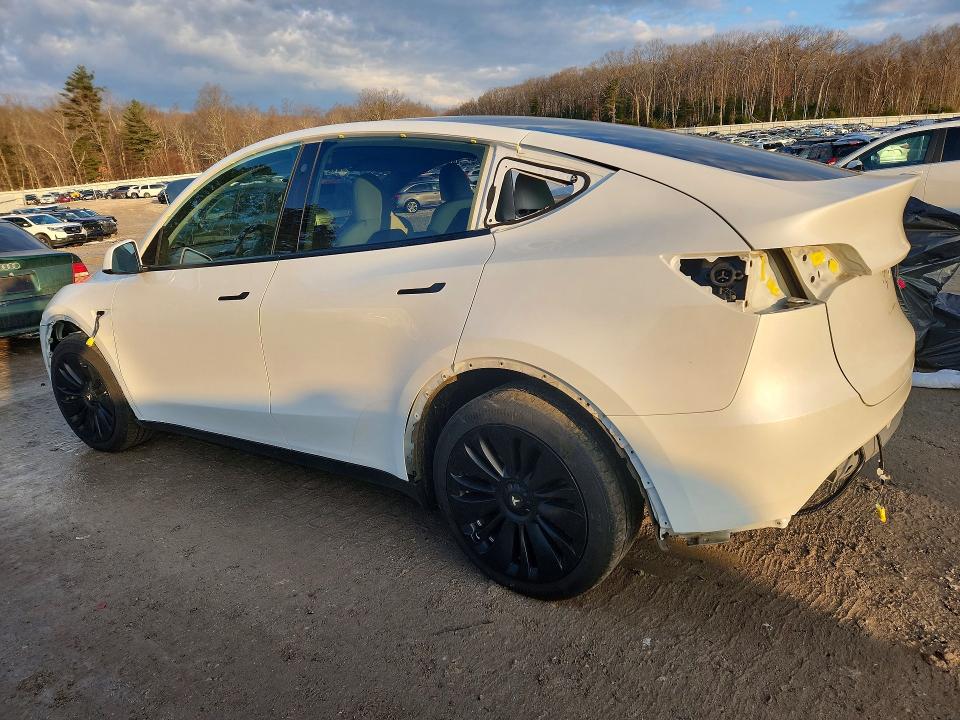 Aukcja sprzedaży 2023 Tesla Model Y, vin: 7SAYGDEE4PA108305, numer aukcji: 41969906