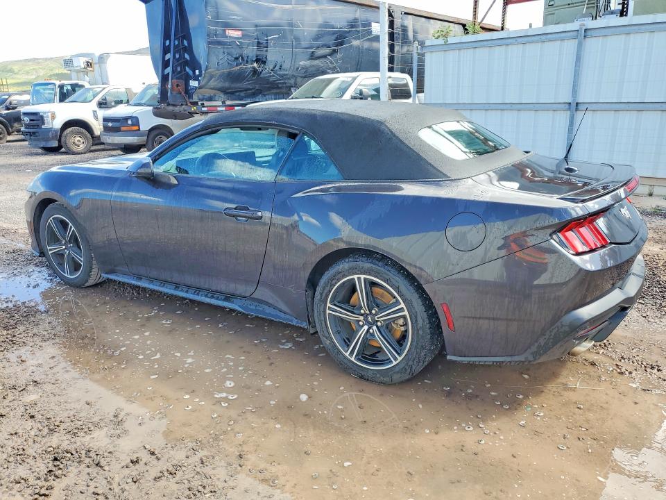 Продажа на аукционе авто 2024 Ford Mustang, vin: 1FAGP8UHXR5120340, номер лота: 48194386