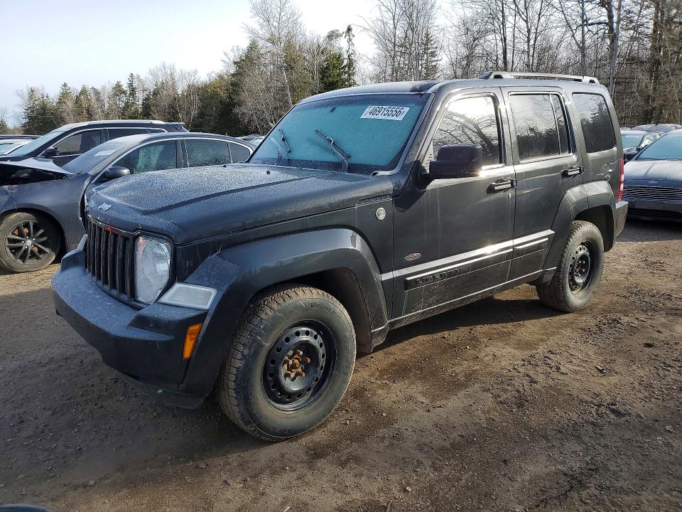Auction sale of the 2010 Jeep Liberty, vin: 1J4PN2GK9AW175794, lot number: 46915556