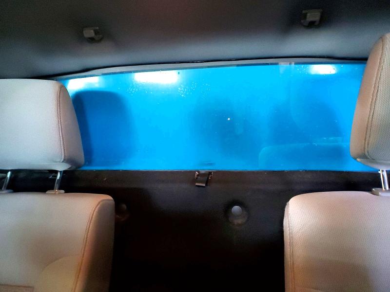 Продажа на аукционе авто 2013 Ford F150, vin: 1FTMF1EFXDKE30549, номер лота: 78374815