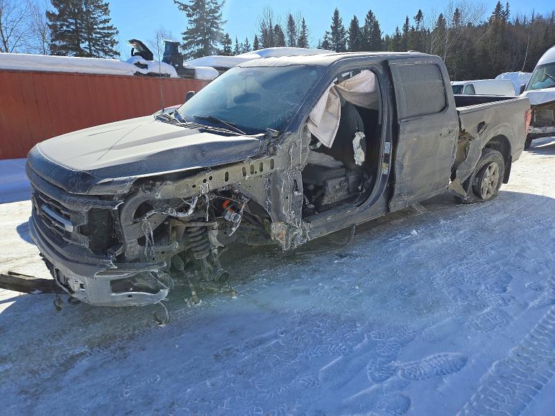 2024 Ford F150 მანქანა იყიდება აუქციონზე, vin: 1FTFW3L85RKD34473, აუქციონის ნომერი: 77388745