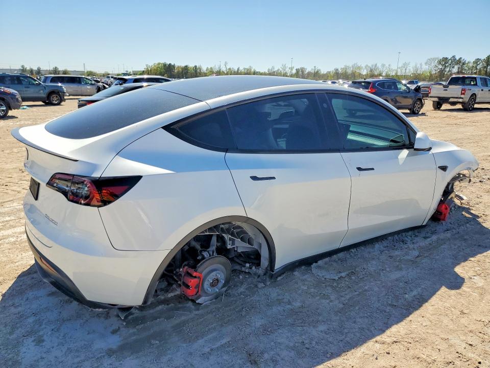Продаж на аукціоні авто 2023 Tesla Model Y, vin: 7SAYGDEF4PF704929, номер лоту: 42040376