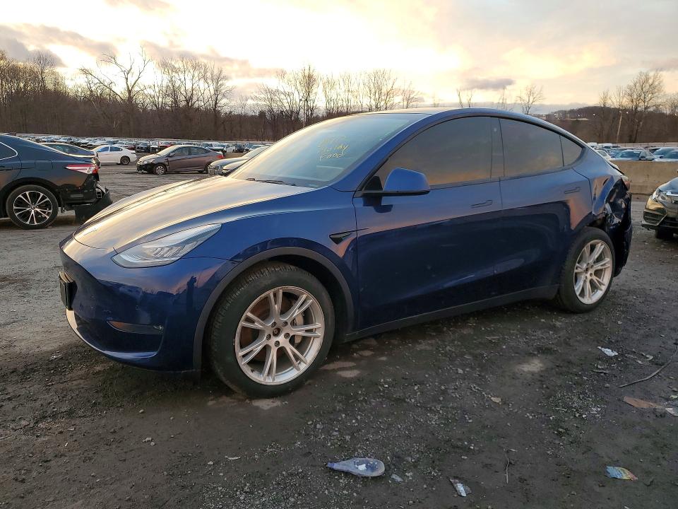 Продажа на аукционе авто 2021 Tesla Model Y, vin: 5YJYGDEE8MF060710, номер лота: 41867506
