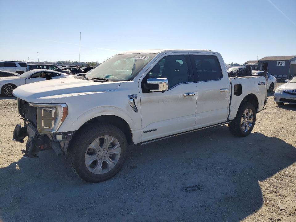 Auction sale of the 2021 Ford F150, vin: 1FTFW1ED8MFB21355, lot number: 41743656