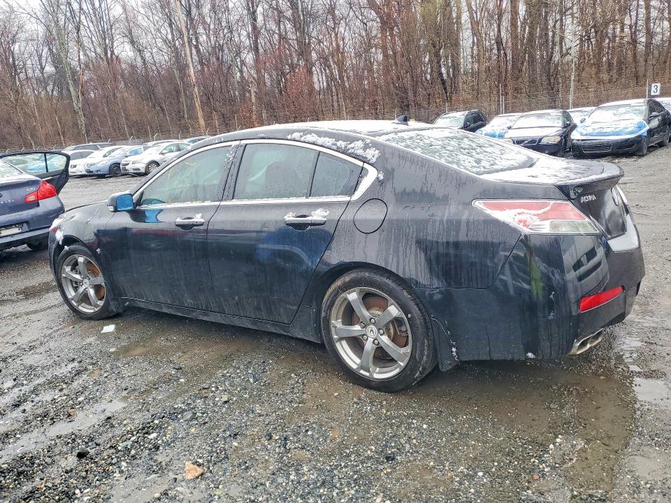 Продажа на аукционе авто 2010 Acura Tl, vin: 19UUA9E57AA005779, номер лота: 41640376