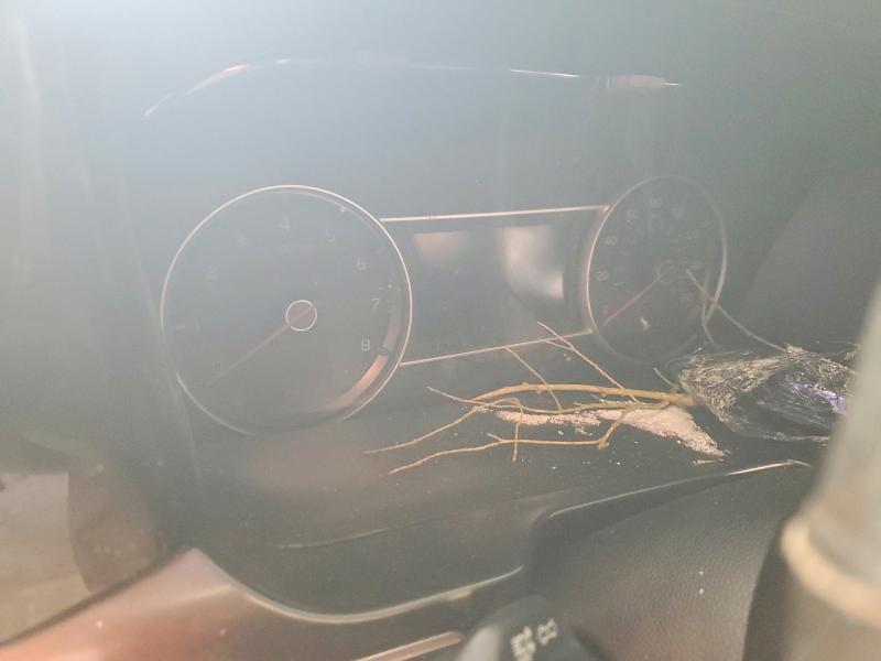 46126146 :رقم المزاد ، 5XYRLDLC5MG037119 vin ، 2021 Kia Sorento مزاد بيع