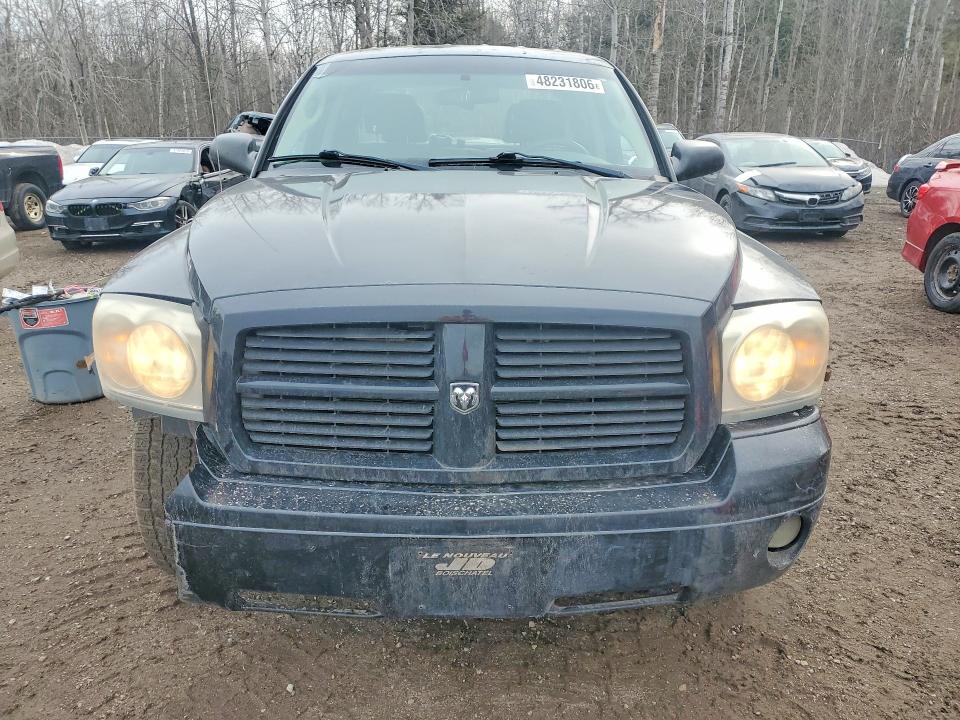 2007 Dodge Dakota მანქანა იყიდება აუქციონზე, vin: 1D7HE48K87S108484, აუქციონის ნომერი: 48231806