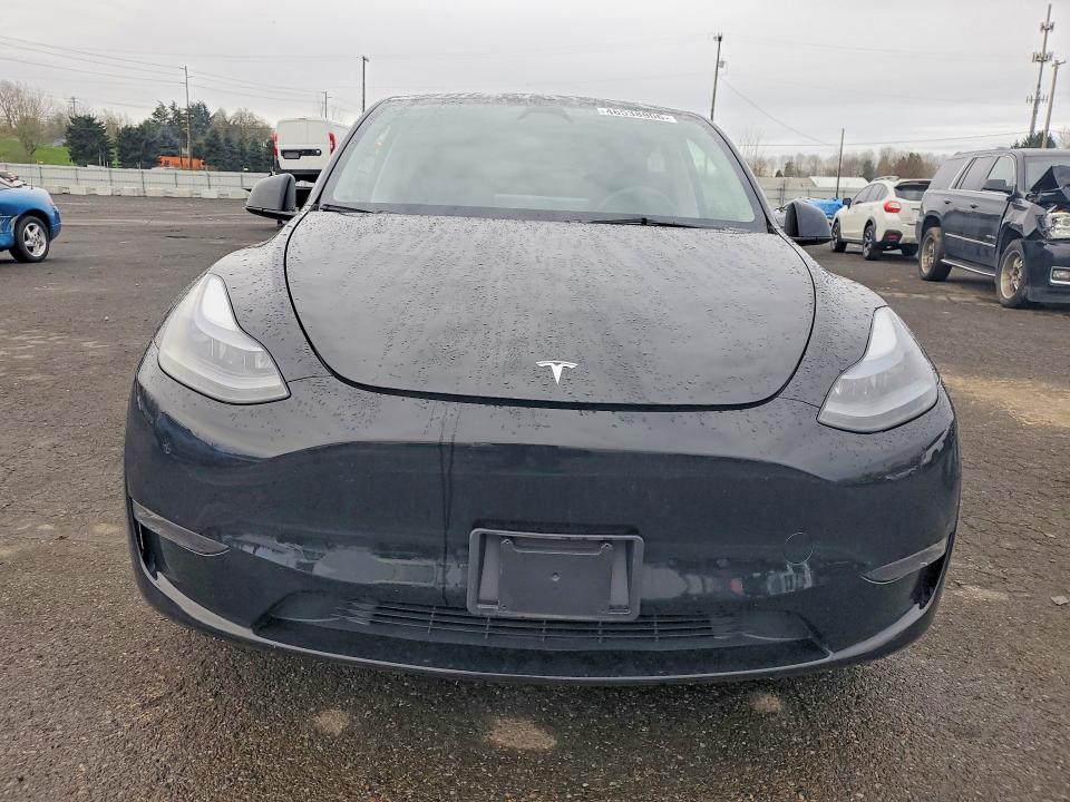 Продаж на аукціоні авто 2023 Tesla Model Y, vin: 7SAYGDEE0PF843172, номер лоту: 46538906