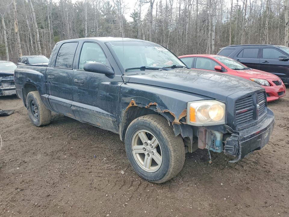 2007 Dodge Dakota მანქანა იყიდება აუქციონზე, vin: 1D7HE48K87S108484, აუქციონის ნომერი: 48231806