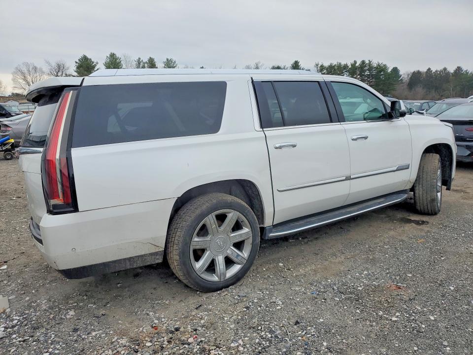 46303276 :رقم المزاد ، 1GYS4HKJ4LR130505 vin ، 2020 Cadillac Escalade مزاد بيع