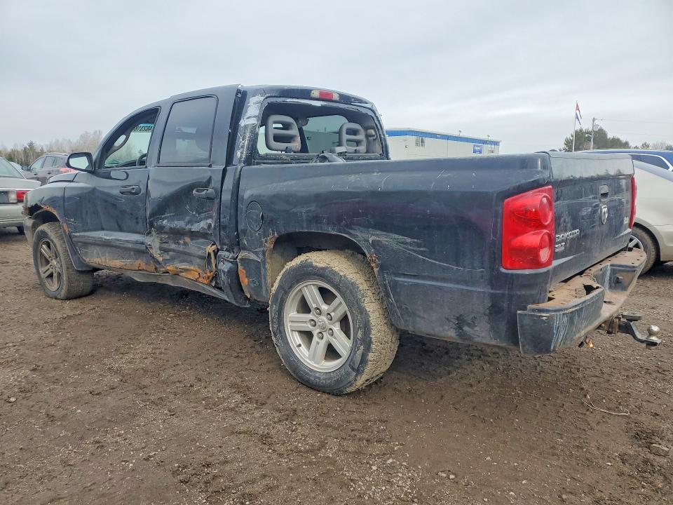 2007 Dodge Dakota მანქანა იყიდება აუქციონზე, vin: 1D7HE48K87S108484, აუქციონის ნომერი: 48231806