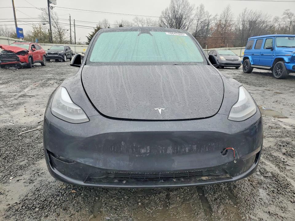 Продажа на аукционе авто 2024 Tesla Model Y, vin: 7SAYGDEE6RF179981, номер лота: 78842665