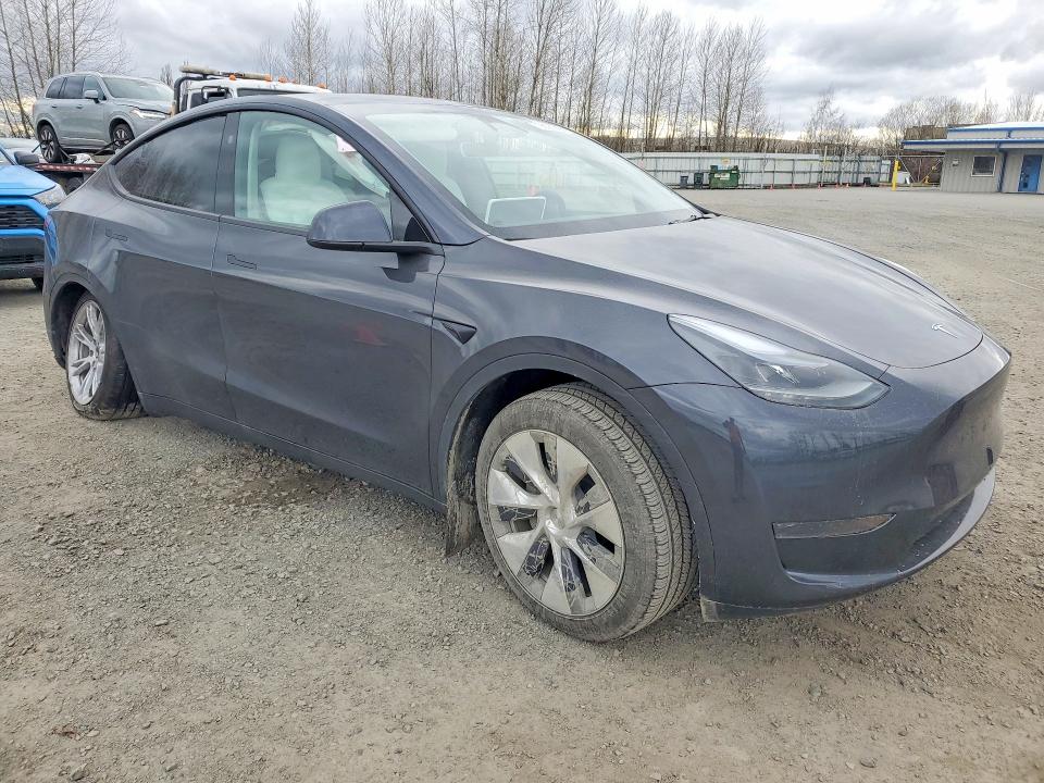 Auction sale of the 2024 Tesla Model Y, vin: 7SAYGDED9RF014983, lot number: 79826345