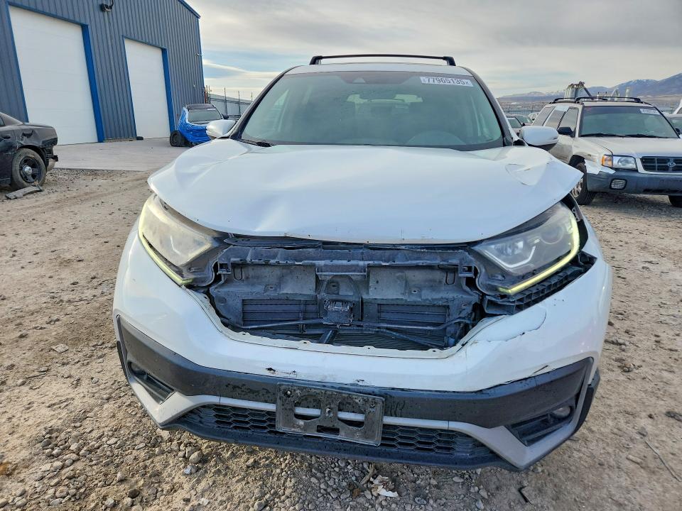 77965135 :رقم المزاد ، 2HKRW2H51LH644549 vin ، 2020 Honda Cr-v مزاد بيع