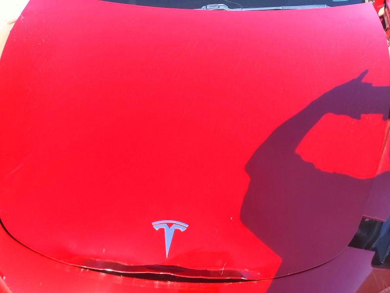2019 Tesla Model 3 მანქანა იყიდება აუქციონზე, vin: 5YJ3E1EA2KF402094, აუქციონის ნომერი: 79541665