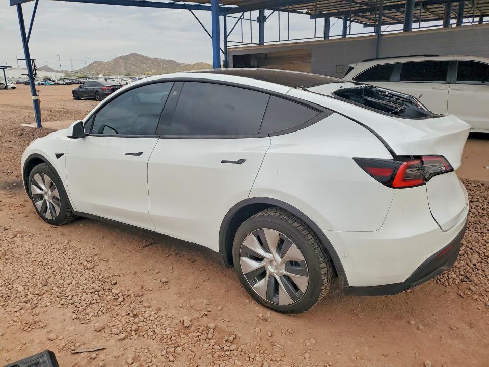 48295596 :رقم المزاد ، 5YJYGDED4MF105505 vin ، 2021 Tesla Model Y مزاد بيع