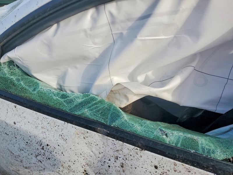 Aukcja sprzedaży 2026 Tesla Model Y, vin: 7SAYGDED9TA419178, numer aukcji: 47134616