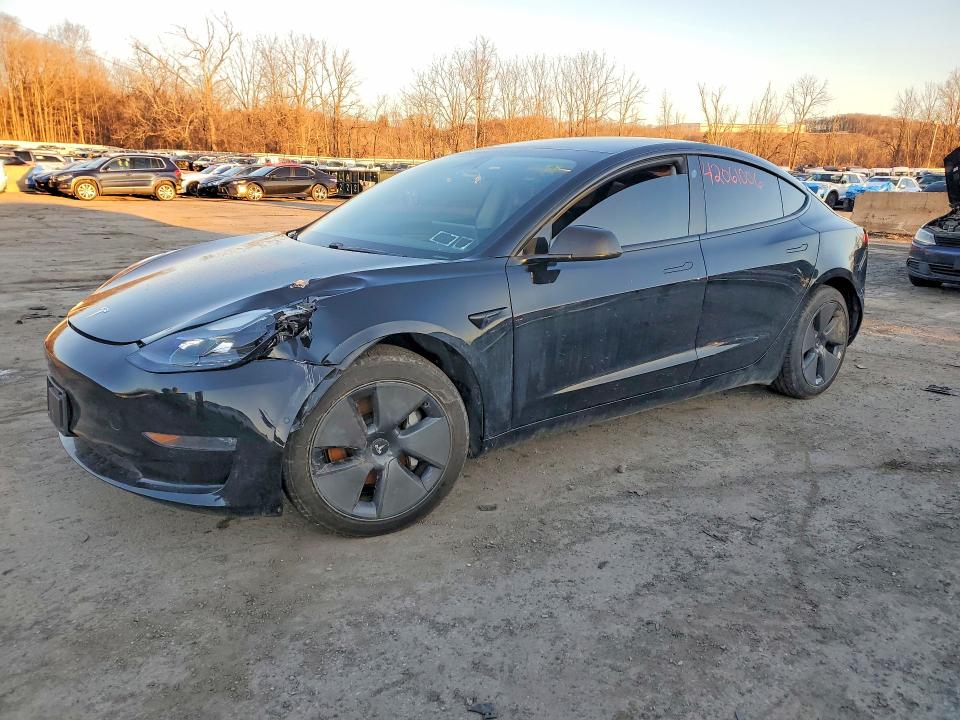 Auction sale of the 2021 Tesla Model 3, vin: 5YJ3E1EB5MF055503, lot number: 42061006