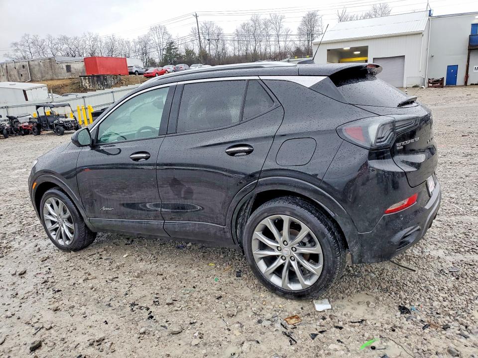 Продаж на аукціоні авто 2024 Buick Encore Gx, vin: KL4AMGSLXRB151125, номер лоту: 79938925