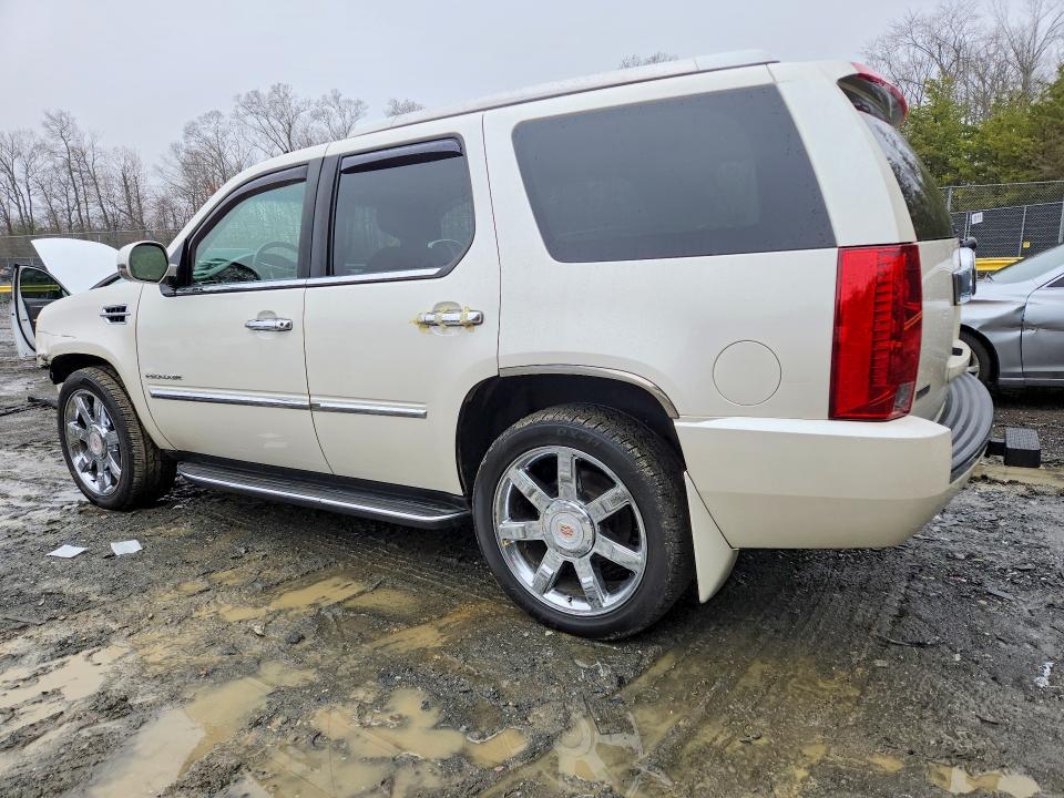 Продаж на аукціоні авто 2011 Cadillac Escalade, vin: 1GYS4BEF8BR156771, номер лоту: 79710575