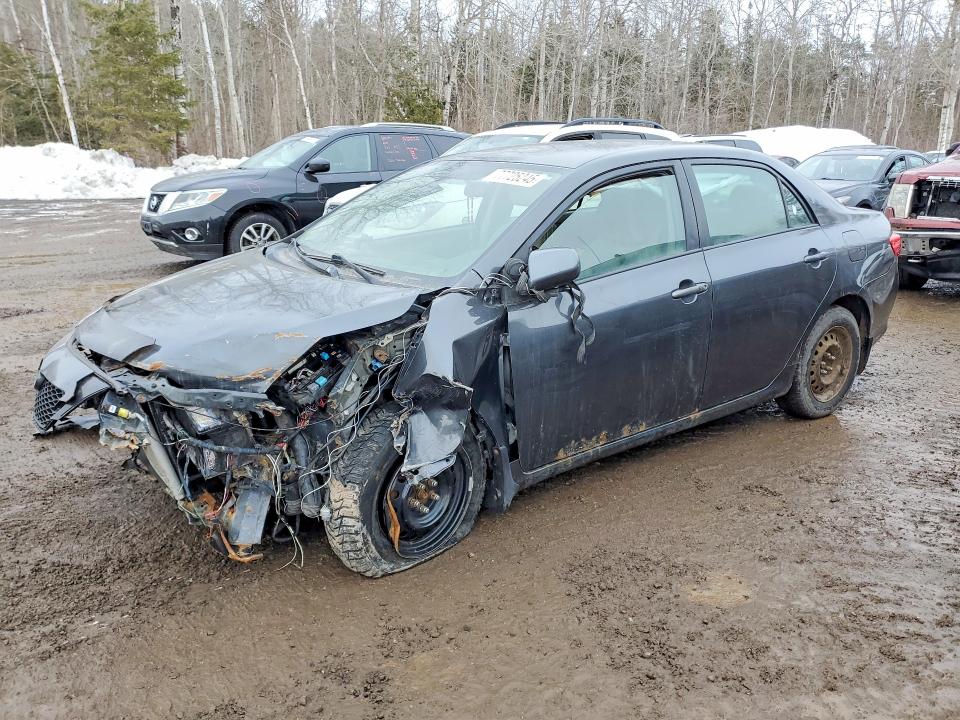Продажа на аукционе авто 2009 Toyota Corolla, vin: 2T1BU40E59C101408, номер лота: 77725245