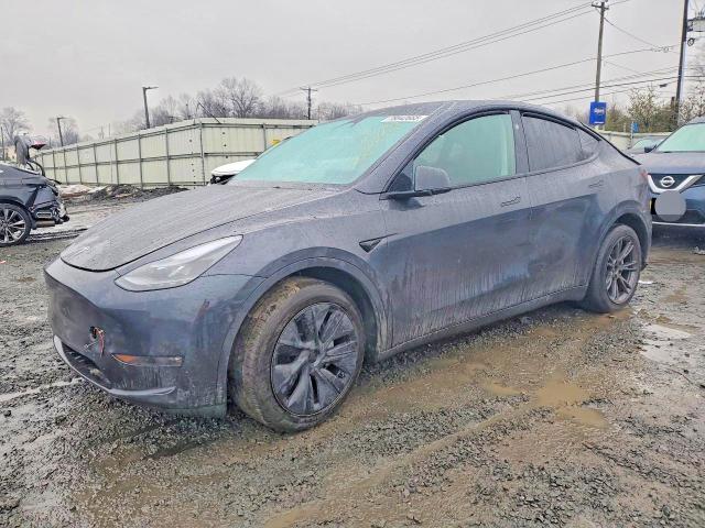Продажа на аукционе авто 2024 Tesla Model Y, vin: 7SAYGDEE6RF179981, номер лота: 78842665