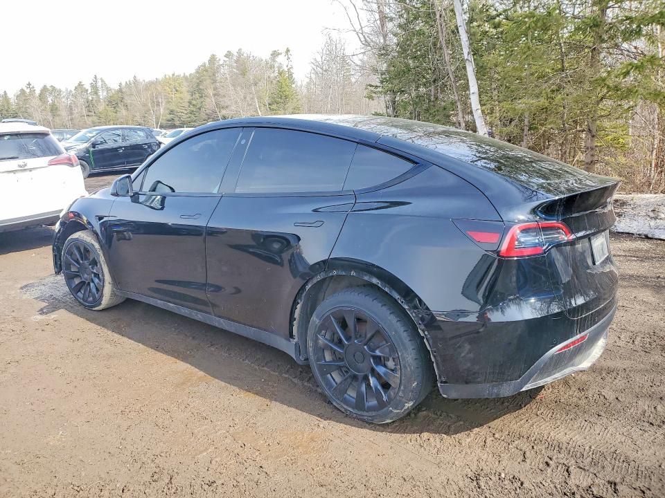 Продаж на аукціоні авто 2023 Tesla Model Y, vin: 7SAYGDEE7PF586415, номер лоту: 45818266
