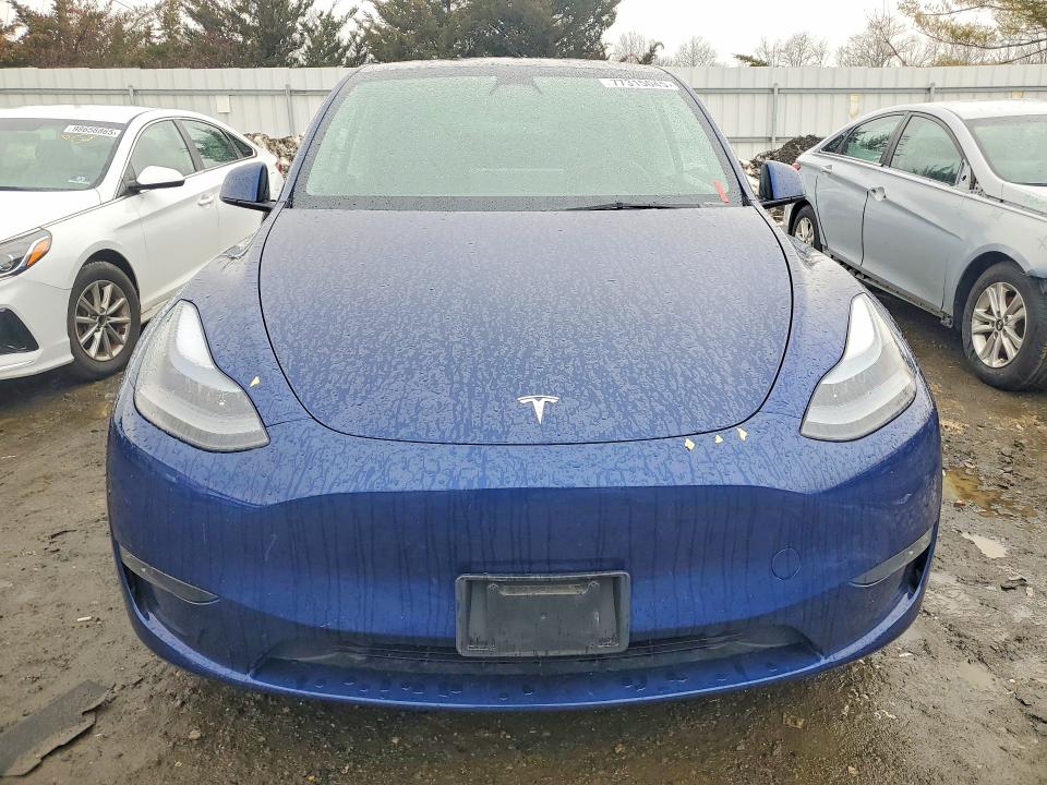 Продажа на аукционе авто 2023 Tesla Model Y, vin: 7SAYGDEE3PA116170, номер лота: 77315045