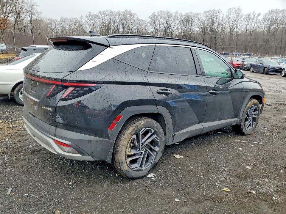 Продажа на аукционе авто 2025 Hyundai Tucson Hybrid, vin: KM8JEDD13SU265048, номер лота: 79221805