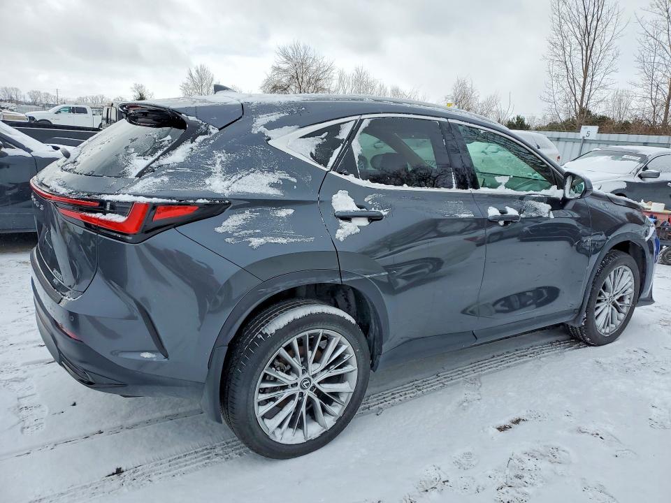 46534216 :رقم المزاد ، 2T2GKCEZ7SC038332 vin ، 2025 Lexus Nx 350 مزاد بيع