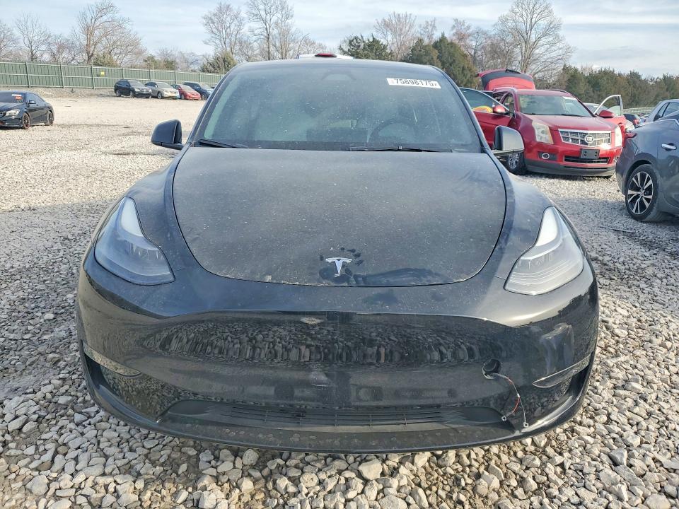 Продажа на аукционе авто 2024 Tesla Model Y, vin: 7SAYGDEF9RF054014, номер лота: 75898175
