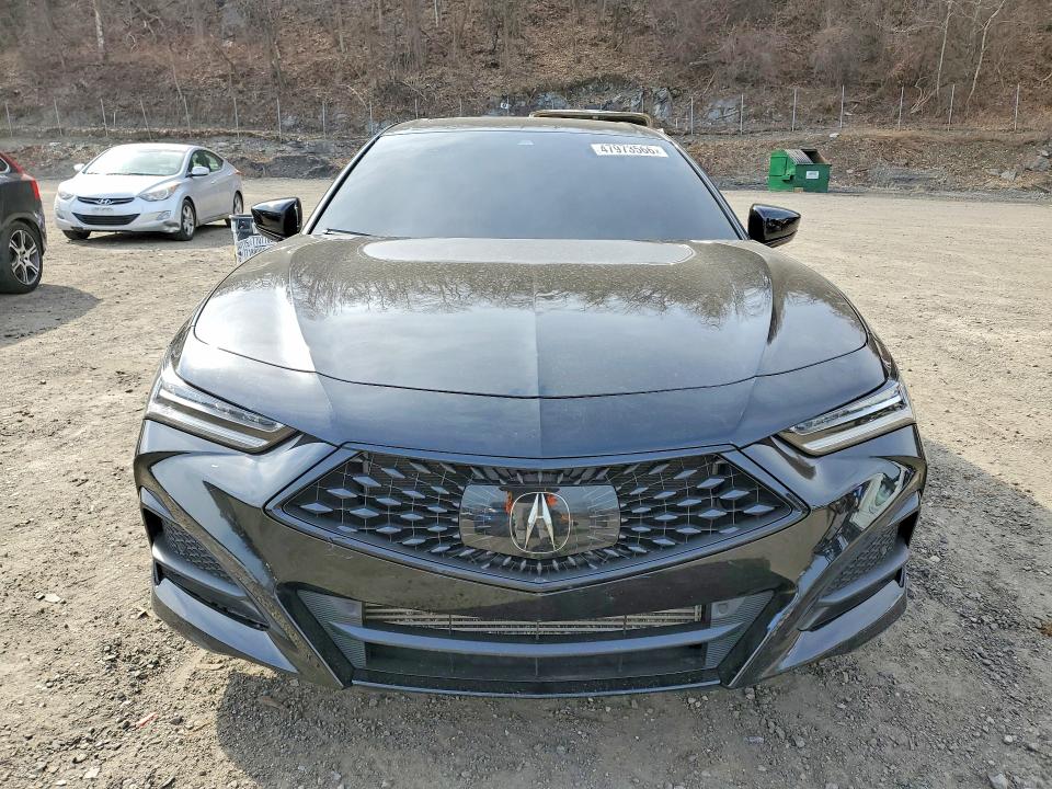 Auction sale of the 2023 Acura Tlx, vin: 19UUB6F55PA002334, lot number: 47973566