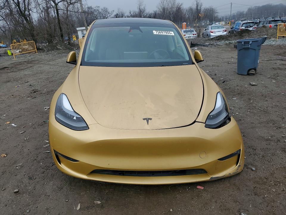 Продаж на аукціоні авто 2024 Tesla Model Y, vin: 7SAYGDEF7RA285703, номер лоту: 75697955
