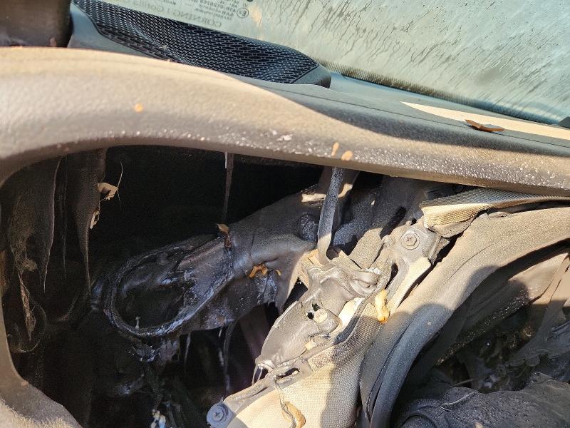 Продаж на аукціоні авто 2025 Jeep Wrangler, vin: 1C4PJXDN8SW517282, номер лоту: 46774856