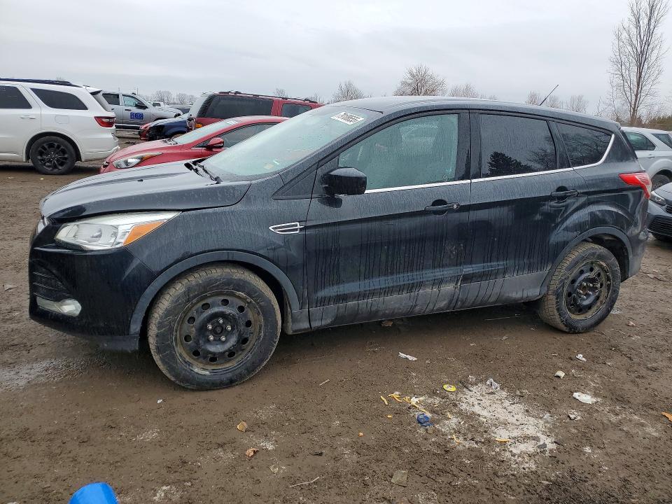 Auction sale of the 2015 Ford Escape, vin: 1FMCU0GX9FUC51990, lot number: 79108655