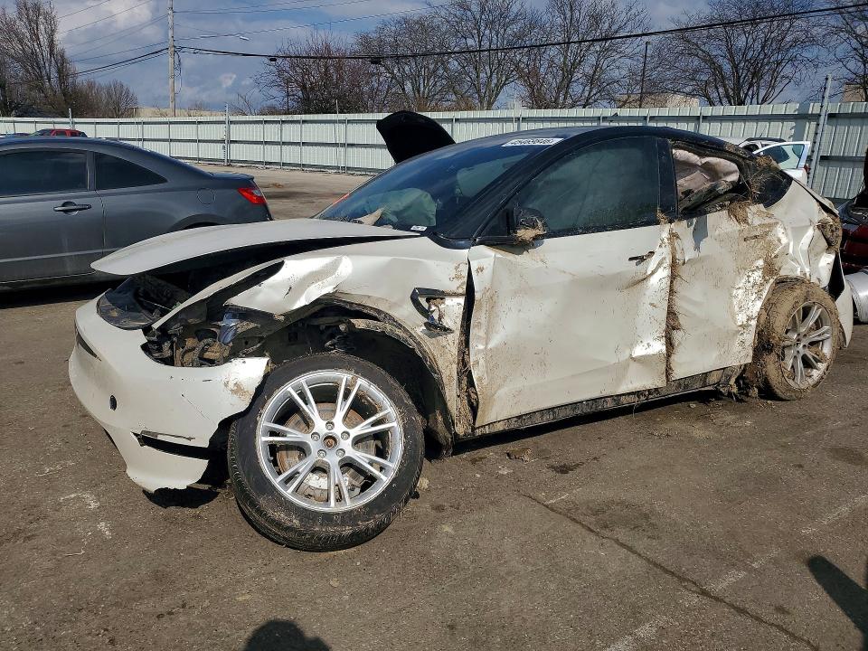 Продаж на аукціоні авто 2023 Tesla Model Y, vin: 7SAYGDEEXPF862389, номер лоту: 45469846