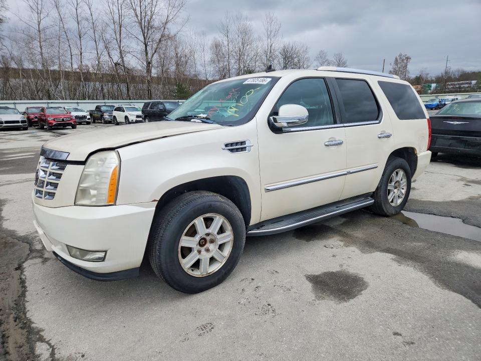 Aukcja sprzedaży 2010 Cadillac Escalade, vin: 1GYUKAEF3AR101569, numer aukcji: 47805186
