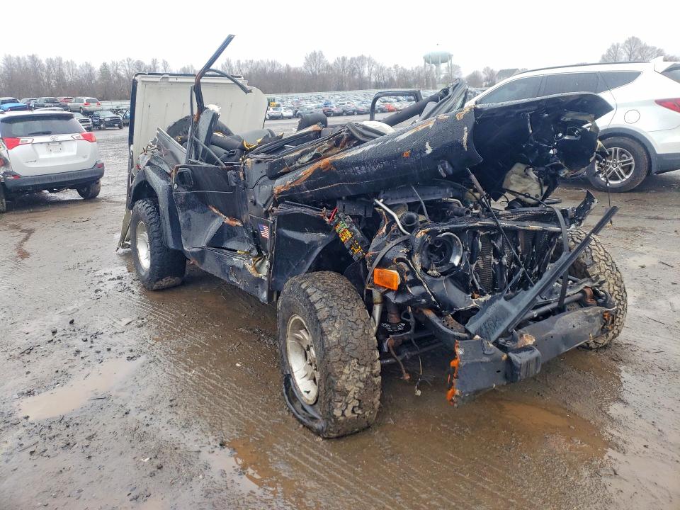 2006 Jeep Wrangler / Tj მანქანა იყიდება აუქციონზე, vin: 1J4FA44S16P715194, აუქციონის ნომერი: 45944616