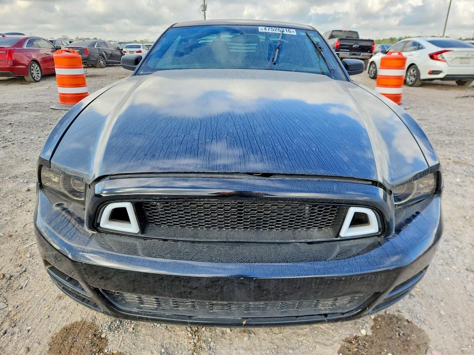 Продажа на аукционе авто 2013 Ford Mustang, vin: 1ZVBP8AM4D5275963, номер лота: 47526316