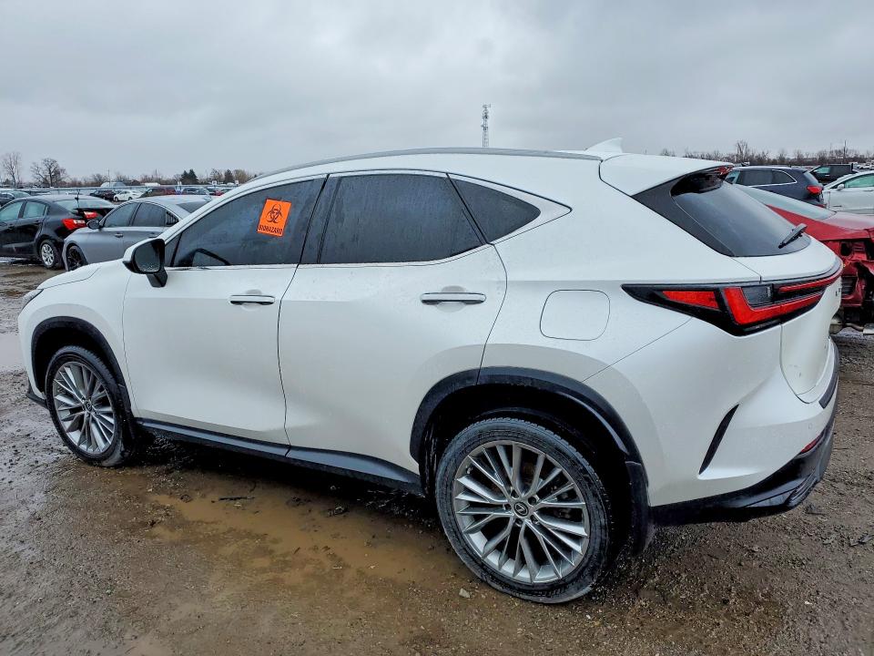 79067545 :رقم المزاد ، 2T2GKCEZ3PC012026 vin ، 2023 Lexus Nx 350h مزاد بيع