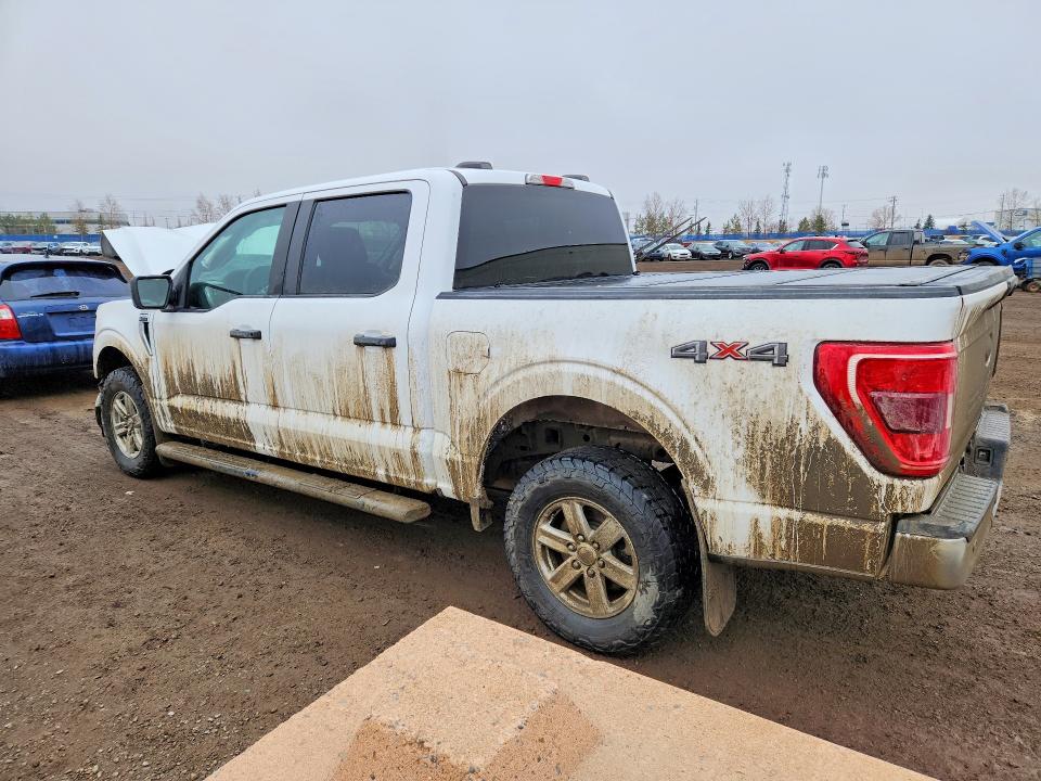 Aukcja sprzedaży 2023 Ford F150 Crew, vin: 1FTEW1EB6PKD76981, numer aukcji: 46995546