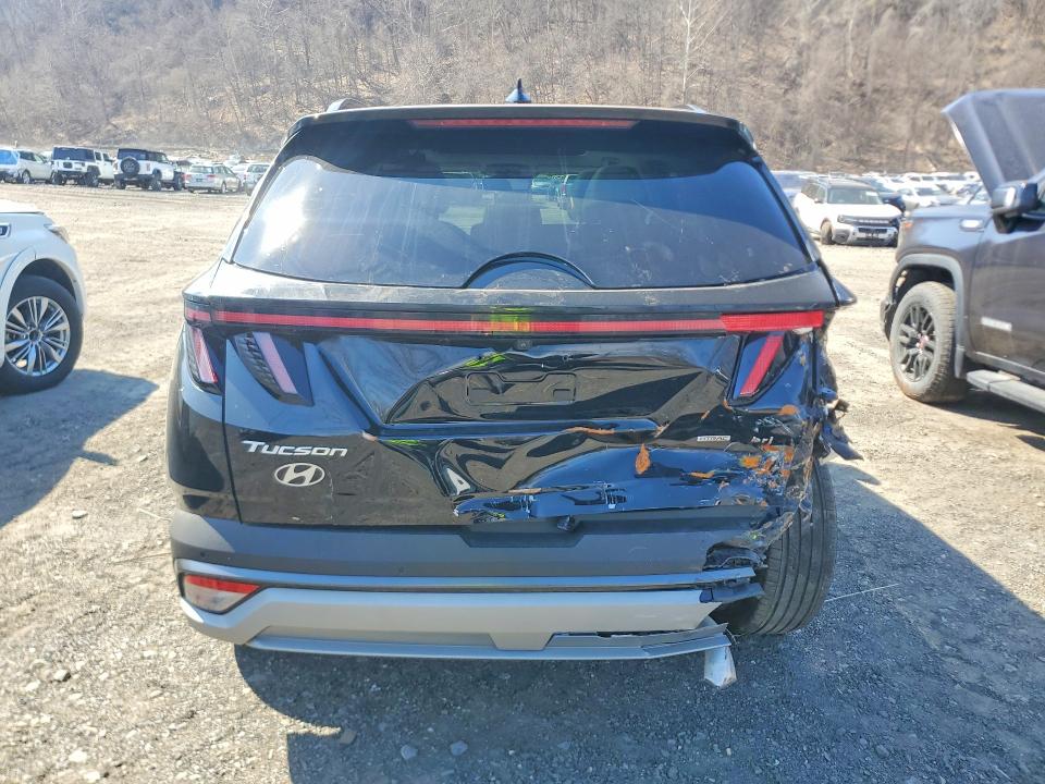 Продажа на аукционе авто 2025 Hyundai Tucson Hybrid, vin: KM8JEDD11SU335002, номер лота: 48289706